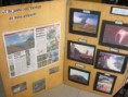 /album/projeto-sustentabilidade/projeto-meio-ambiente-013-jpg/